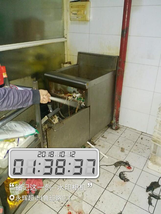 目前9種除甲醛最為有效的方法